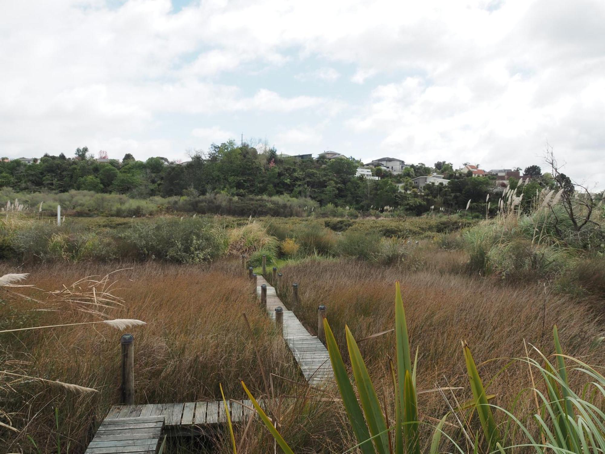 Uniqueness Hotel Tauranga Bagian luar foto